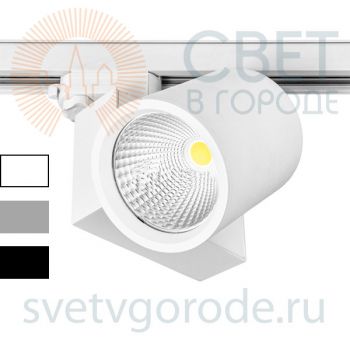 Светодиодный прожектор OREGON LED 25-40вт